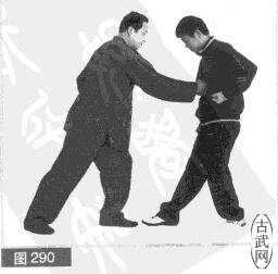 ͼ290
