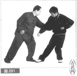 ͼ291
