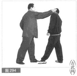ͼ294