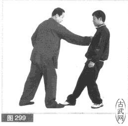 ͼ299