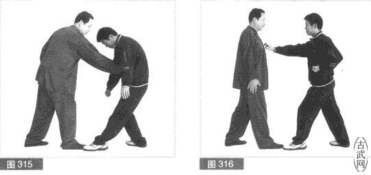 ͼ315ͼ316