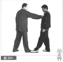 ͼ324