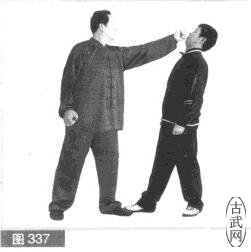ͼ337