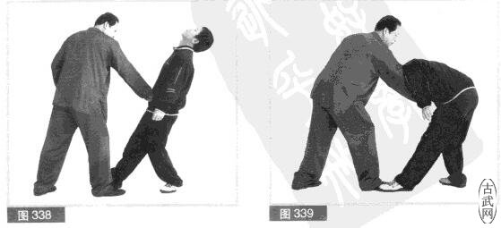 ͼ338ͼ339