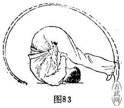 ͼ83