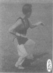 鲽1