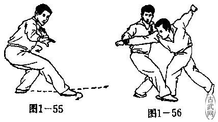 ͼ1-55ͼ1-56