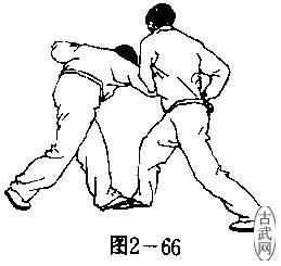 ͼ2-66