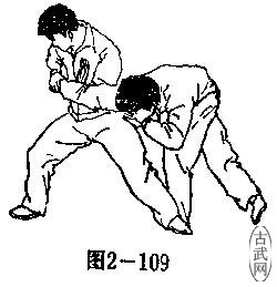 ͼ2-109