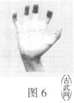 ͼ6