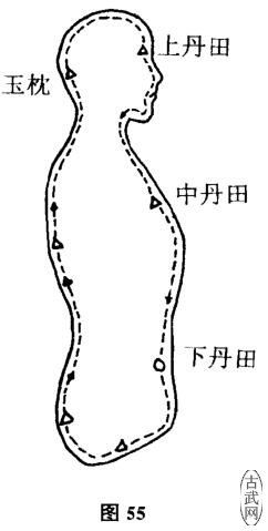 ͼ55