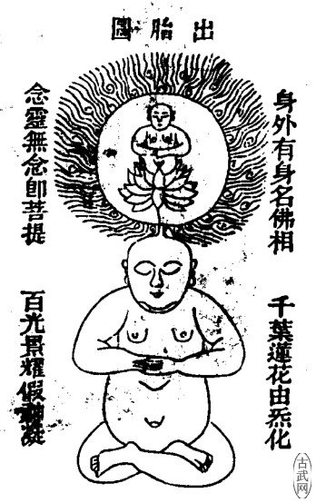 ͼ29