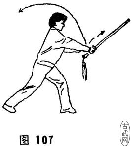 ͼ107