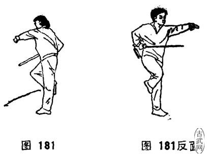 ͼ181