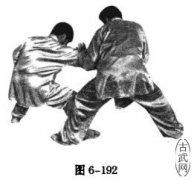 䵱ȭ÷ʮʮʽʹб