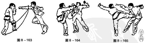 ͼ8һ163ͼ8һ164ͼ8һ165