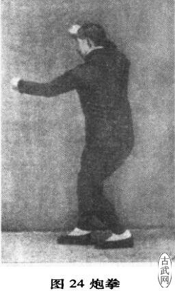 ͼ24