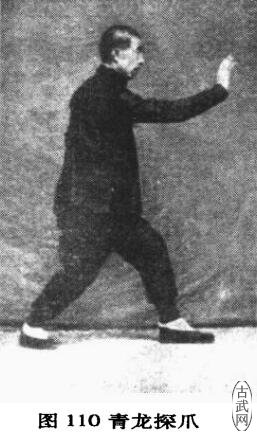 ͼ110