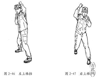 ͼ2-46ͼ2-47