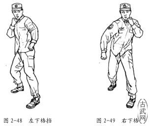ͼ2-48ͼ2-49