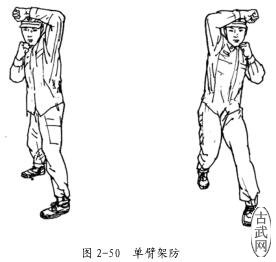 ͼ 2-50