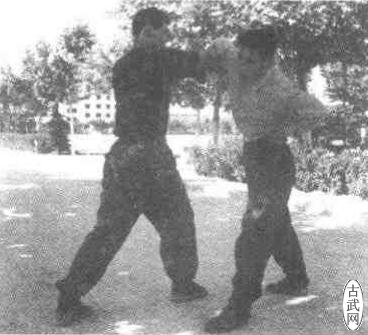 ת5