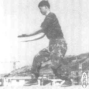 鲽1