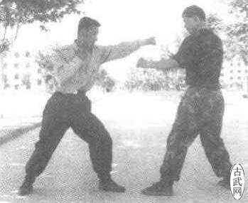 鲽2