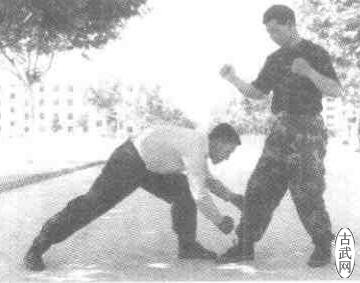 鲽4
