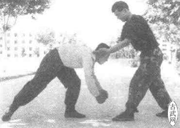 鲽5