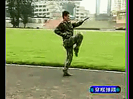 ߶ͼ