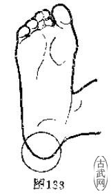 ͼ133