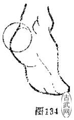 ͼ134