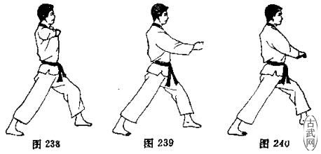 ͼ238ͼ239ͼ240
