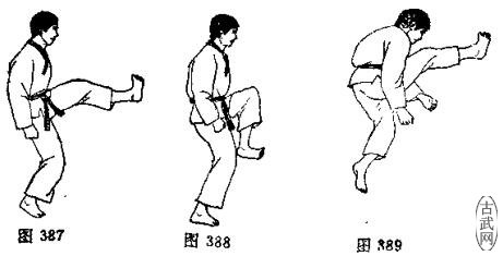 ͼ387ͼ388ͼ389
