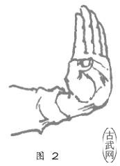 ͼ2