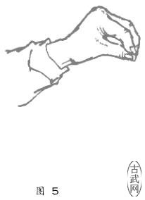 ͼ5