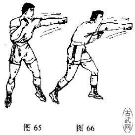 ͼ65, 66