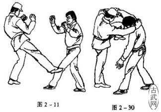 ͼ2һ11ͼ2һ30