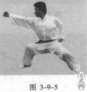 ȭ֮벽ǰ粽ͽͲ岽Ʋ