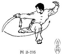ͼB-205