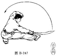 ͼB-247