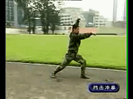 ȭ̬ͼ