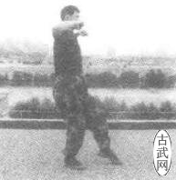 ˫2