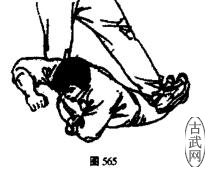 ͼ565