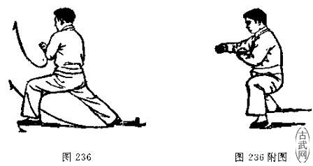 ͼ2 3 6