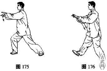 ͼ175, 176