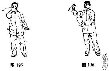 ͼ195ͼ196