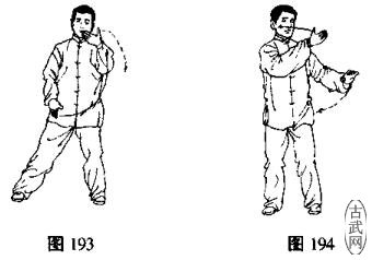 ͼ193ͼ194