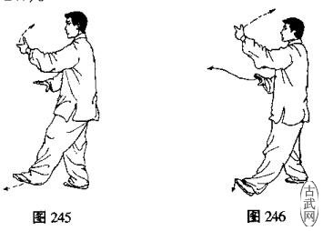 ͼ245ͼ246